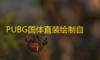 PUBG国体直装绘制自瞄辅助工具